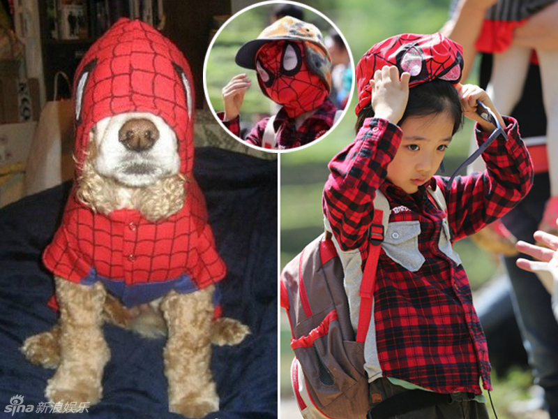 不小心就撞臉了！盤(pán)點(diǎn)動(dòng)物界的明星相