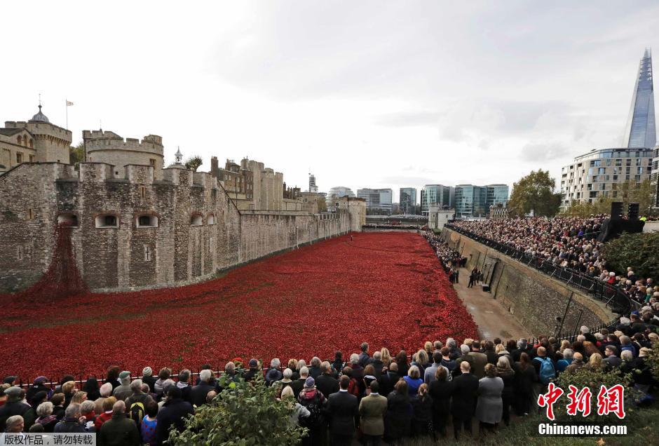 當地時間2014年11月10日，英國倫敦，倫敦塔周邊“種植”了888246朵陶瓷材質的罌粟花，以此紀