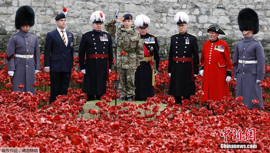 當地時間2014年11月10日，英國倫敦，倫敦塔周邊“種植”了888246朵陶瓷材質的罌粟花，以此紀