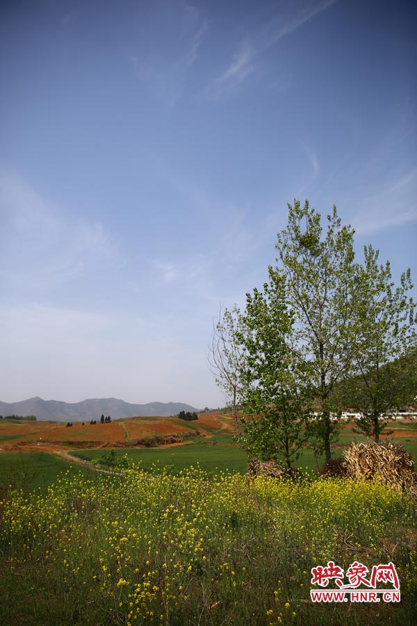 庫區(qū)的藍天、白云、綠樹、黃花給人清新的享受