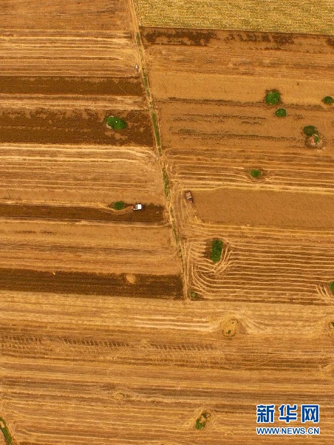 這是5月28日在河南省南陽市唐河縣甘河灣村航拍的麥?zhǔn)宅F(xiàn)場(chǎng)。