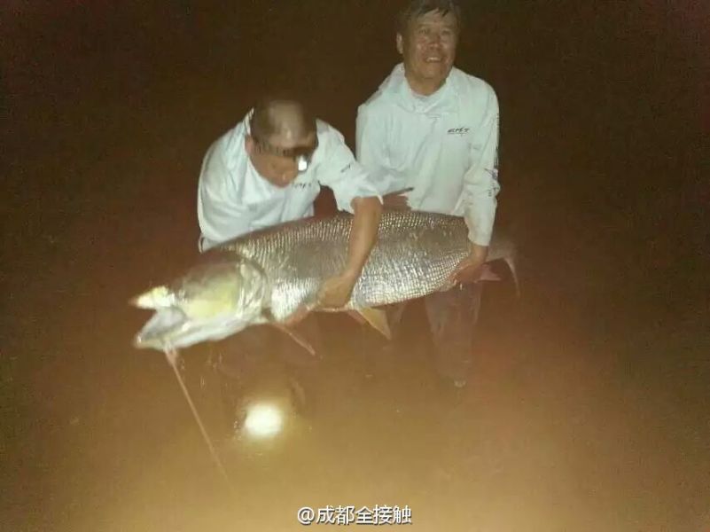 圖為大魚需要兩個(gè)人抱起。