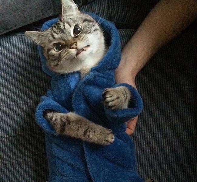 身穿浴袍的Loki好像看起來(lái)也沒(méi)那么兇哦。