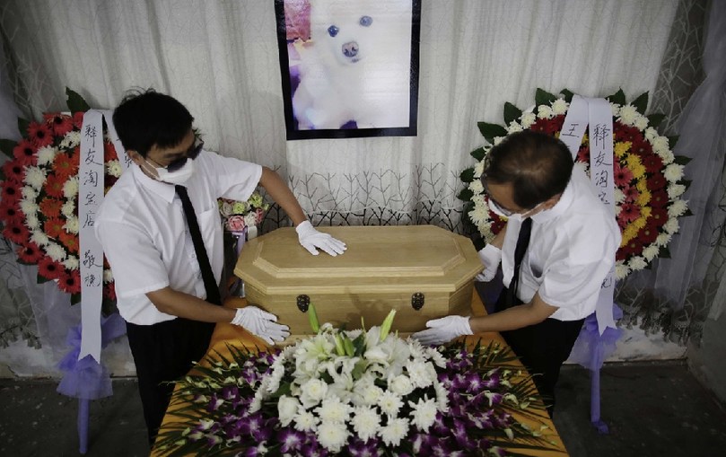 工作人員將寵物狗的靈柩放在靈堂上。