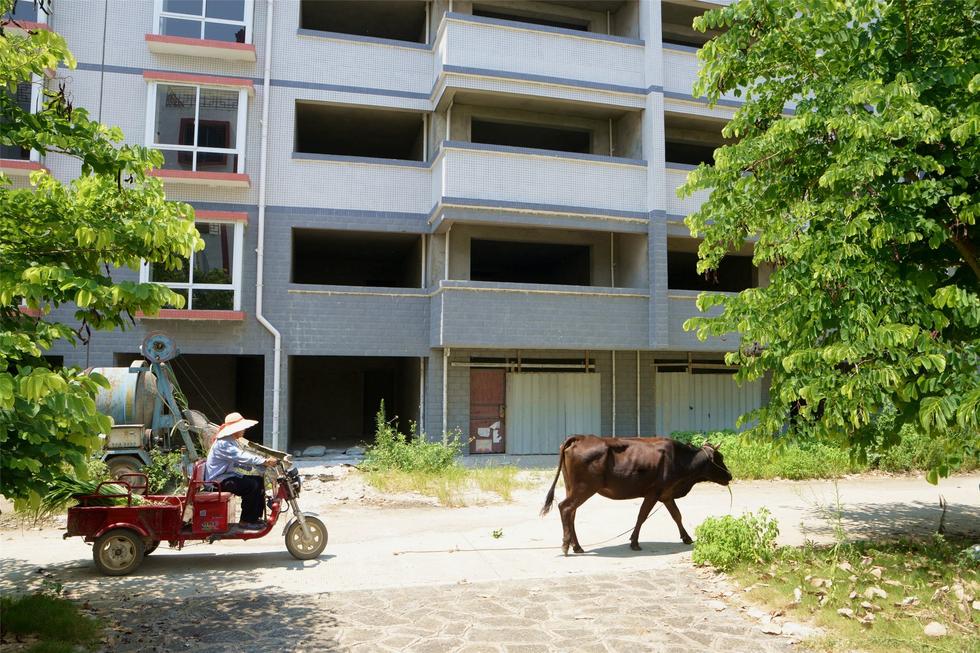 2016年7月26日，村民在廣西來賓市忻城縣隆達山水福城荒廢別墅間放牛。