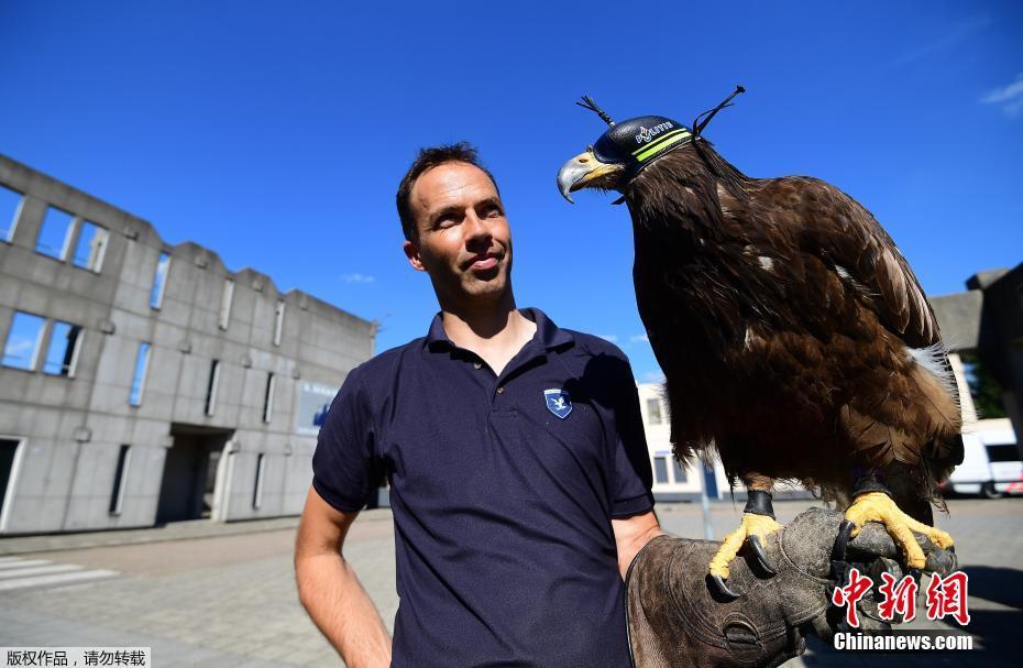 圖片默認標題 圖片默認標題