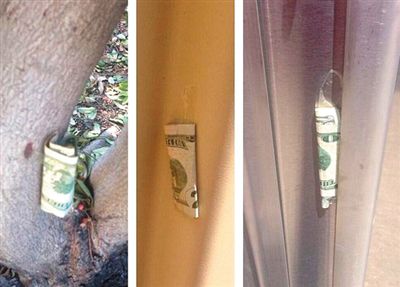 “隱藏的鈔票”會被神秘人藏在公園、廁所等“奇怪的地方”。