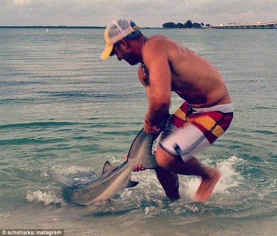 美國男子空手將360斤活鯊魚拉上岸 曾拉過88條 美國男子空手將360斤活鯊魚拉上岸 曾拉過88條