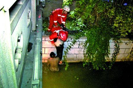 男子水中托舉墜河愛犬兩小時(shí) 消防員:狗會游泳