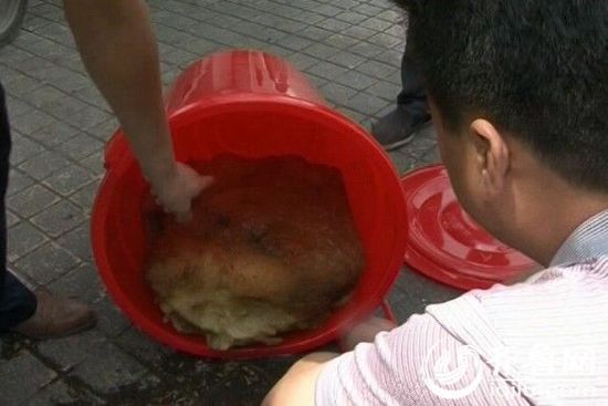 山東棗莊現四十一斤 山東棗莊現四十一斤