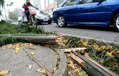 事發(fā)現(xiàn)場(chǎng)，嫌疑車輛撞壞的木樁。