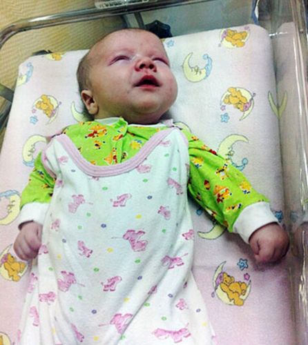 居民認(rèn)為，如果沒(méi)有這只貓的照料，寶寶可能沒(méi)有機(jī)會(huì)活下來(lái)。