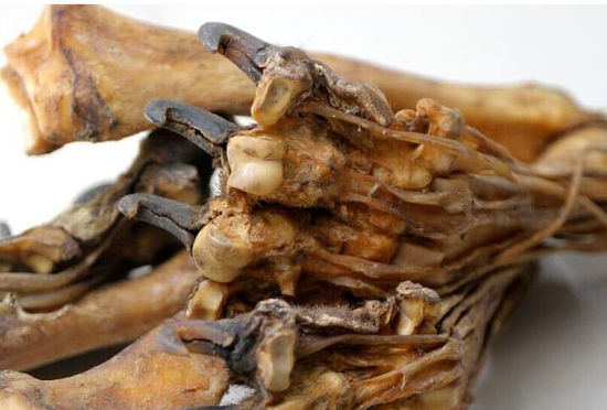 男子帶著虎皮虎骨過安檢 專家:或是狗皮染色