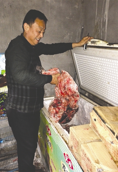 潘金彪展示老虎們的食物 潘金彪展示老虎們的食物