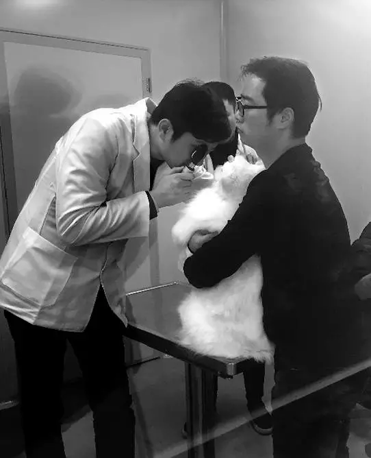 女子為給愛犬治病 從新疆開了4天車還花費5萬5