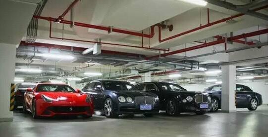 王思聰車庫(kù)曝光 這只是冰山一角(組圖)