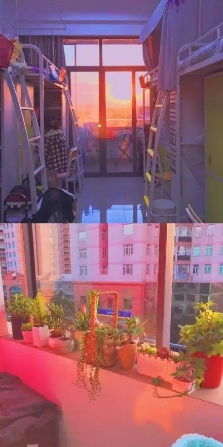 這個(gè)學(xué)校的男生宿舍火了！女同學(xué)都喊著要嫁