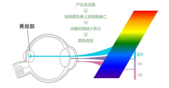 真能亮瞎眼？如何減少手機對眼睛的傷害