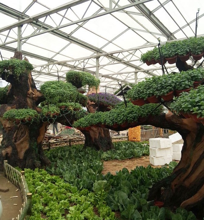 中牟國(guó)家農(nóng)業(yè)公園 中牟國(guó)家農(nóng)業(yè)公園