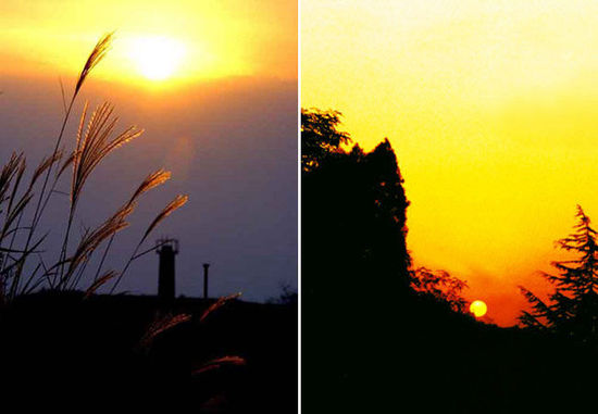 夕陽無限好 西安不可錯過的夕照勝景地 夕陽無限好 西安不可錯過的夕照勝景地