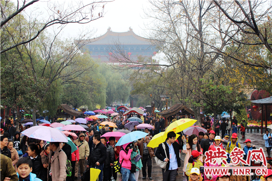 天好、花美 中國開封第32屆菊花文化節(jié)延長一周