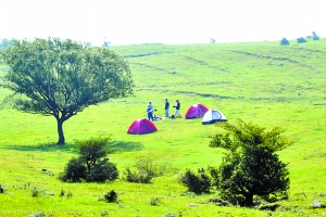 洛陽黛眉山景區(qū)開園迎賓，明年五一前免費開放