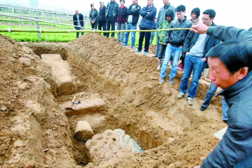 碑帽、赑屃、碑座、碑身依次排開