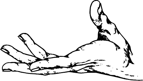 　時(shí)間：拿到通知書，未報(bào)到就可申請(qǐng)