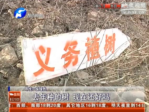 去年種的樹 現(xiàn)在還好嗎？