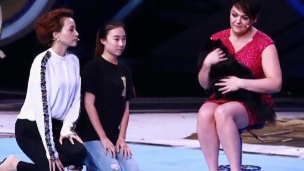 又當(dāng)托？ 董卿節(jié)目現(xiàn)場(chǎng)當(dāng)眾對(duì)狗下跪稱(chēng)被催眠