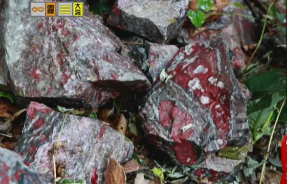 驚！神農(nóng)架無(wú)人區(qū)現(xiàn)神秘玉石