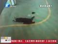 設(shè)施不達標(biāo) 鄭州一市民命喪地下停車場