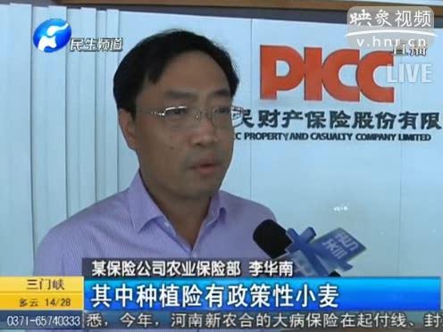 冰雹惹禍 損失能索賠嗎？