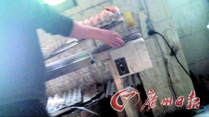 工作人員正在為“土雞蛋”噴日期碼。